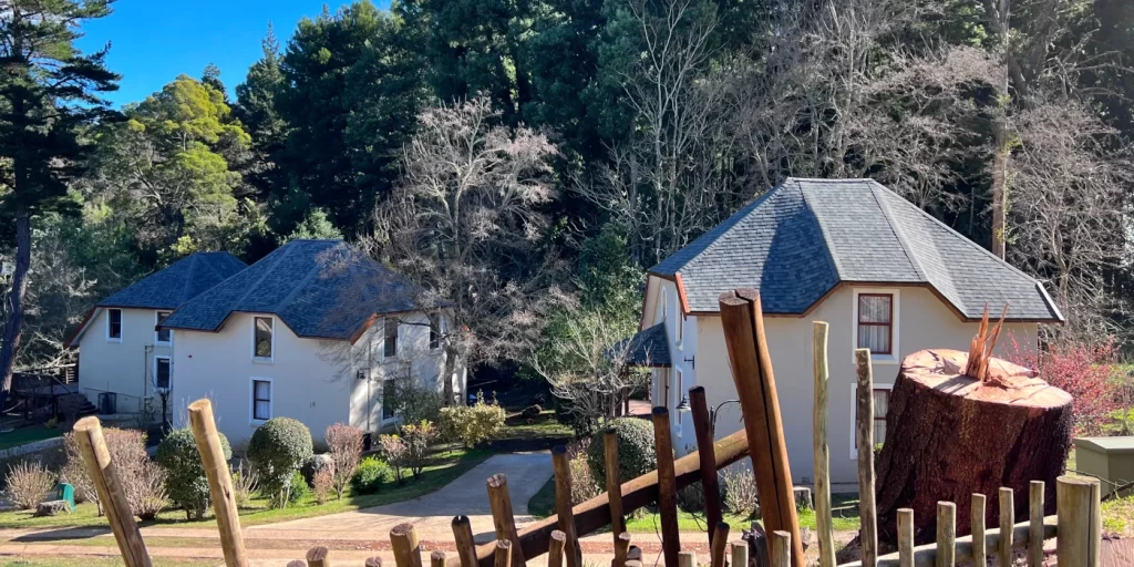 Roofs at the Arminel Hotel in Hogsback, converted to shingles